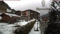 Archiv Foto Webcam Alpenstüble Hotel 11:00