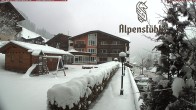 Archived image Webcam Hotel &#34;Alpenstueble&#34; 07:00