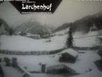 Archived image Webcam Laerchenhof Nature Hotel 13:00
