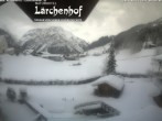 Archived image Webcam Laerchenhof Nature Hotel 07:00