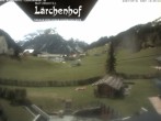 Archived image Webcam Laerchenhof Nature Hotel 11:00