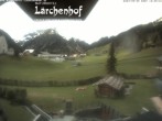 Archived image Webcam Laerchenhof Nature Hotel 11:00