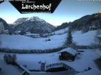 Archived image Webcam Laerchenhof Nature Hotel 07:00