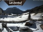 Archived image Webcam Laerchenhof Nature Hotel 11:00