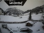 Archiv Foto Webcam Naturhotel Lärchenhof 11:00