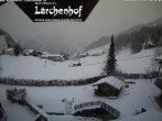 Archived image Webcam Laerchenhof Nature Hotel 13:00