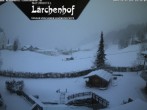 Archived image Webcam Laerchenhof Nature Hotel 15:00