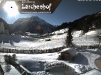 Archiv Foto Webcam Naturhotel Lärchenhof 11:00