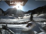 Archived image Webcam Laerchenhof Nature Hotel 13:00