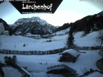 Archived image Webcam Laerchenhof Nature Hotel 15:00