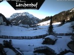 Archived image Webcam Laerchenhof Nature Hotel 09:00