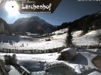 Archived image Webcam Laerchenhof Nature Hotel 11:00