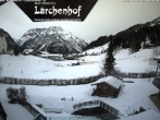 Archived image Webcam Laerchenhof Nature Hotel 07:00