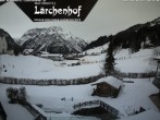 Archived image Webcam Laerchenhof Nature Hotel 09:00