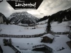 Archived image Webcam Laerchenhof Nature Hotel 11:00