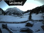 Archived image Webcam Laerchenhof Nature Hotel 15:00