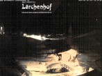 Archived image Webcam Laerchenhof Nature Hotel 17:00