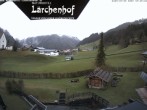 Archived image Webcam Laerchenhof Nature Hotel 06:00