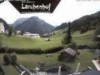 Archived image Webcam Laerchenhof Nature Hotel 13:00