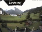Archived image Webcam Laerchenhof Nature Hotel 11:00