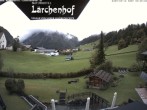 Archived image Webcam Laerchenhof Nature Hotel 08:00