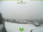 Archived image Webcam Guesthouse &#34;Almenrausch&#34; 11:00