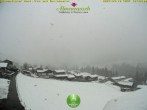 Archived image Webcam Guesthouse &#34;Almenrausch&#34; 17:00