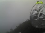 Archived image Webcam Rauschberg mountain 13:00