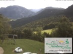 Archived image Webcam Mountain restaurant &#34;Steinberg Alm&#34; 11:00