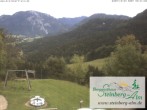 Archiv Foto Webcam Ruhpolding: Steinberg-Alm 11:00