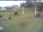 Archiv Foto Webcam Reit im Winkl: Golfplatz 13:00