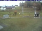 Archiv Foto Webcam Reit im Winkl: Golfplatz 15:00