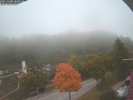 Archiv Foto Webcam Schloss Rosenburg 08:00