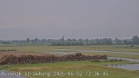 Archiv Foto Webcam Flugplatz Straubing 11:00