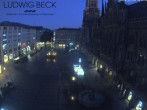 Archiv Foto Webcam am Marienplatz München 21:00