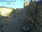 Archiv Foto Webcam am Marienplatz München 00:00