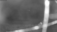 Archiv Foto Webcam Bad Griesbach: Beckenbauer Golf Course 01:00