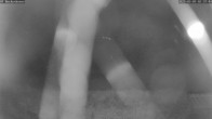 Archiv Foto Webcam Bad Griesbach: Beckenbauer Golf Course 01:00