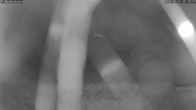 Archiv Foto Webcam Bad Griesbach: Beckenbauer Golf Course 01:00