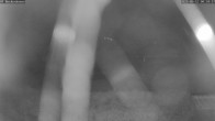 Archiv Foto Webcam Bad Griesbach: Beckenbauer Golf Course 23:00