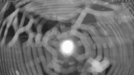Archiv Foto Webcam Bad Griesbach: Beckenbauer Golf Course 03:00