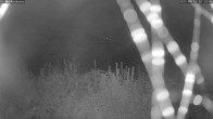Archived image Webcam Beckenbauer Golf Course 01:00