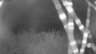 Archived image Webcam Beckenbauer Golf Course 03:00