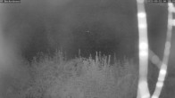 Archiv Foto Webcam Bad Griesbach: Beckenbauer Golf Course 23:00