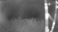 Archiv Foto Webcam Bad Griesbach: Beckenbauer Golf Course 01:00