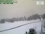 Archiv Foto Webcam Nebelhornblick 15:00