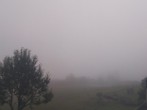 Archiv Foto Webcam Pfarrwerfen - Spareck 05:00