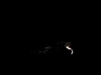Archiv Foto Webcam Pfarrwerfen - Spareck 01:00