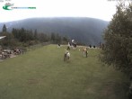 Archiv Foto Webcam im Ortsteil Pradel 11:00