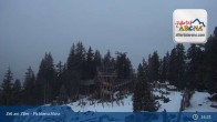 Archived image Webcam Spruce Tree Castle in Zell am Ziller 19:00